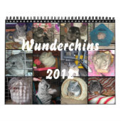 Mural Calendrier de Wunderchins 2012 (Protection)