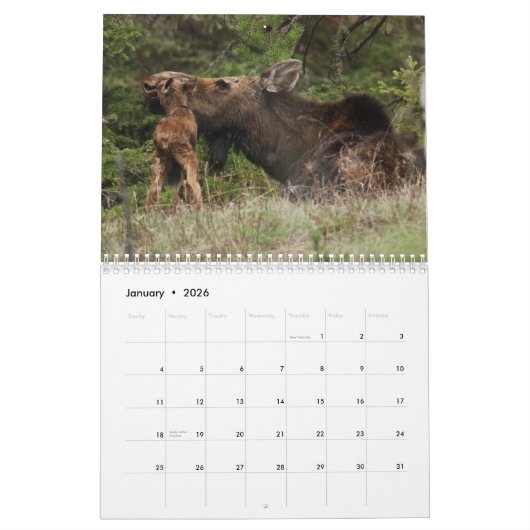 Mural Calendrier de Yellowstone 2010 (Jan 2026)