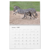 Mural Calendrier de zèbre, zèbres (Jan 2027)