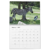 Mural Calendrier de zèbre, zèbres (Feb 2027)