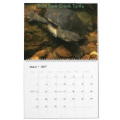 Mural Calendrier d'eau douce australien de tortue de 8 (Mar 2027)
