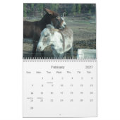 Mural Calendrier des ânes de Darling 24 mois (Feb 2027)
