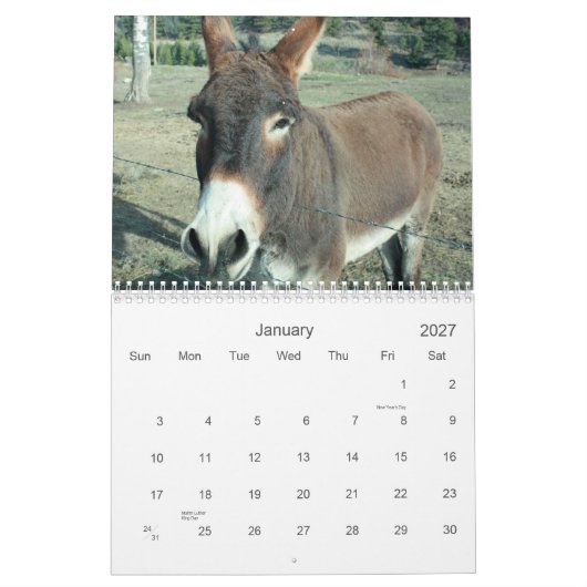 Mural Calendrier des ânes de Darling 24 mois (Jan 2027)