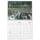 Mural Calendrier des ânes de Darling 24 mois (Mar 2027)