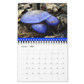 Mural Calendrier des champignons Rainbow 2014 (Jan 2027)