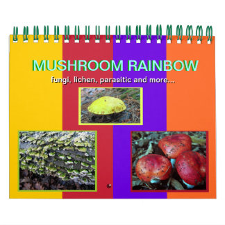 Mural Calendrier des champignons Rainbow 2014