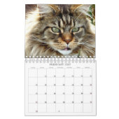 Mural Calendrier des chats (Feb 2027)