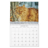 Mural Calendrier des chats (Jan 2027)