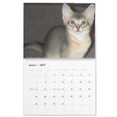 Mural Calendrier des chats Aby Kittens (Mar 2027)