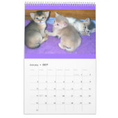 Mural Calendrier des chats abyssinais (Jan 2027)
