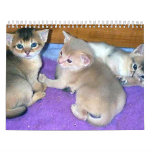 Mural Calendrier des chats abyssinais