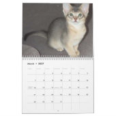 Mural Calendrier des chats abyssinais (Mar 2027)