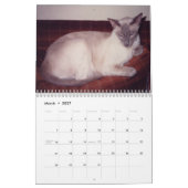 Mural Calendrier des chats de Siamese 2024 (Mar 2027)