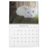 Mural Calendrier des chats et des chiens 2016 (Feb 2027)