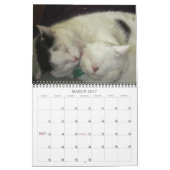 Mural Calendrier des chats et des chiens 2016 (Mar 2027)