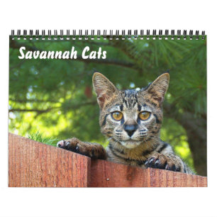 Mural Calendrier des chats Serval Savannah