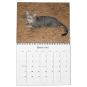 Mural Calendrier des chats Serval Savannah (Mar 2027)
