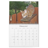 Mural Calendrier des chats Serval Savannah (Feb 2027)