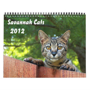 Mural Calendrier des chats Serval Savannah