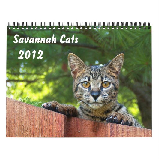 Mural Calendrier des chats Serval Savannah (Protection)