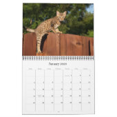Mural Calendrier des chats Serval Savannah (Jan 2026)