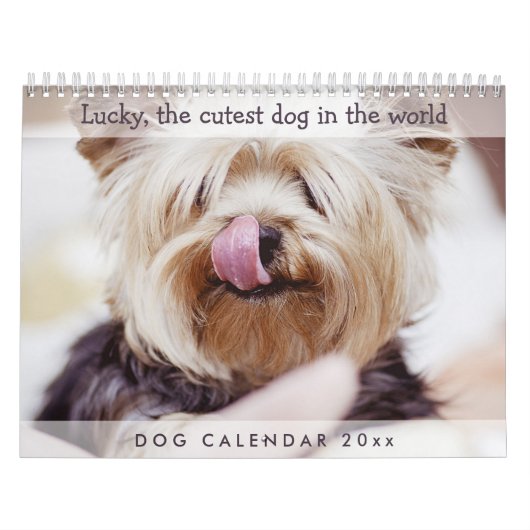 Mural Calendrier des chiens 2026 Ajouter vos photos mign (Protection)