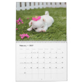 Mural Calendrier des chiens 2026 Ajouter vos photos mign (Feb 2027)