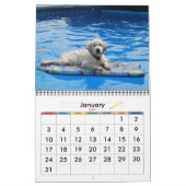 Mural Calendrier des chiens 20xx (Jan 2027)