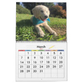 Mural Calendrier des chiens 20xx (Mar 2027)