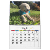 Mural Calendrier des chiens 20xx (Mar 2026)
