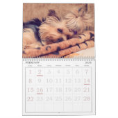 Mural Calendrier des chiens adorables (Feb 2026)