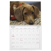 Mural Calendrier des chiens adorables (Mar 2026)