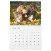 Mural Calendrier des chiens de basset 2012 (Jan 2027)