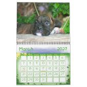 Mural Calendrier des chiots 2010 de boxeur (Mar 2027)
