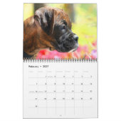 Mural Calendrier des chiots 2015 de boxeur (Feb 2027)