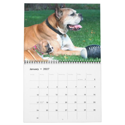 Mural Calendrier des chiots 2015 de boxeur (Jan 2027)