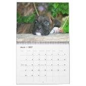 Mural Calendrier des chiots 2015 de boxeur (Mar 2027)
