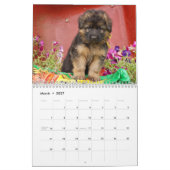 Mural Calendrier des chiots allemands 2016 (Mar 2027)