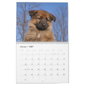 Mural Calendrier des chiots allemands 2016 (Jan 2027)