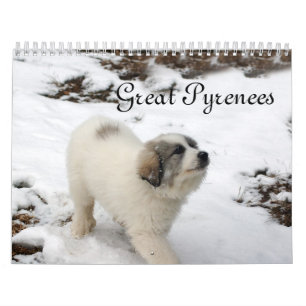 Mural Calendrier des chiots des Pyrénées