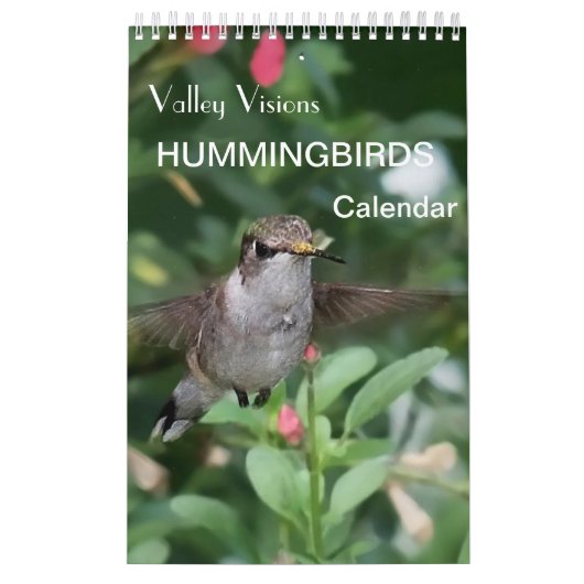 Mural Calendrier Des Colibris Par Visions De Vallée (Protection)