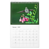 Mural Calendrier Des Colibris Par Visions De Vallée (Feb 2027)