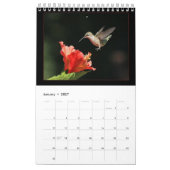 Mural Calendrier Des Colibris Par Visions De Vallée (Jan 2027)