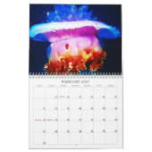 Mural Calendrier des créations océaniques (Feb 2027)