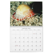 Mural Calendrier des créations océaniques (Jan 2027)