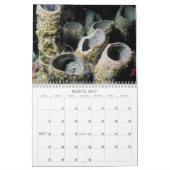 Mural Calendrier des créations océaniques (Mar 2027)