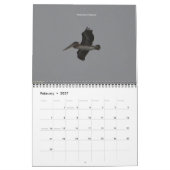 Mural Calendrier des créatures de Californie (sept-août) (Feb 2027)