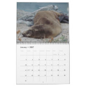 Mural Calendrier des créatures de Californie (sept-août) (Jan 2027)