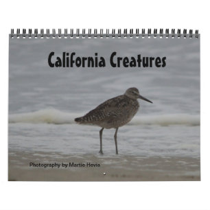 Mural Calendrier des créatures de Californie (sept-août)