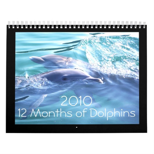 Mural Calendrier des dauphins 2010 (Protection)